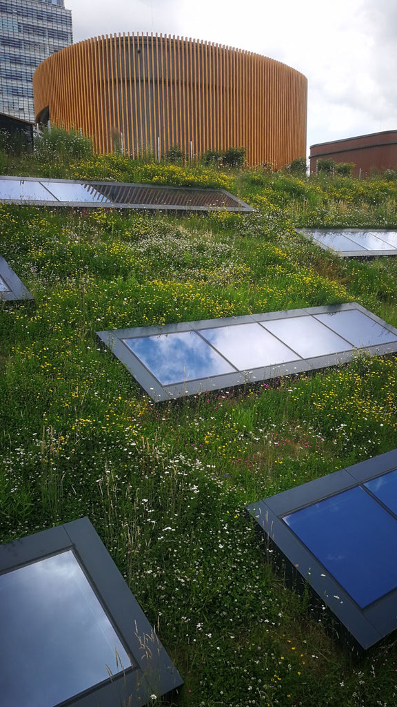 techos verdes riego eficiente abe estrategias sustentables