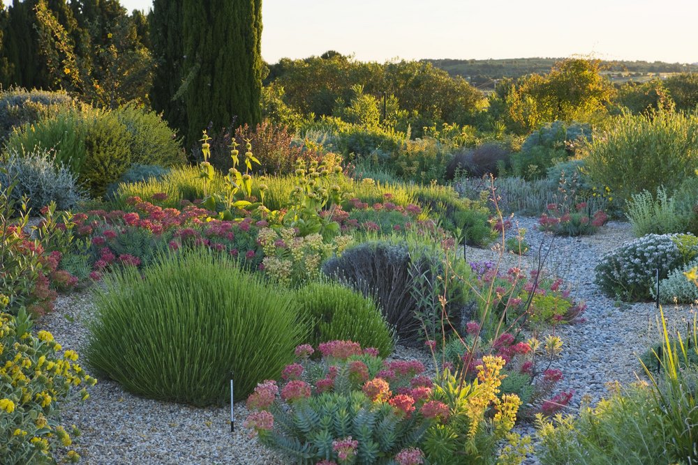 JARDINES DE BAJO CONSUMO HIDRICO